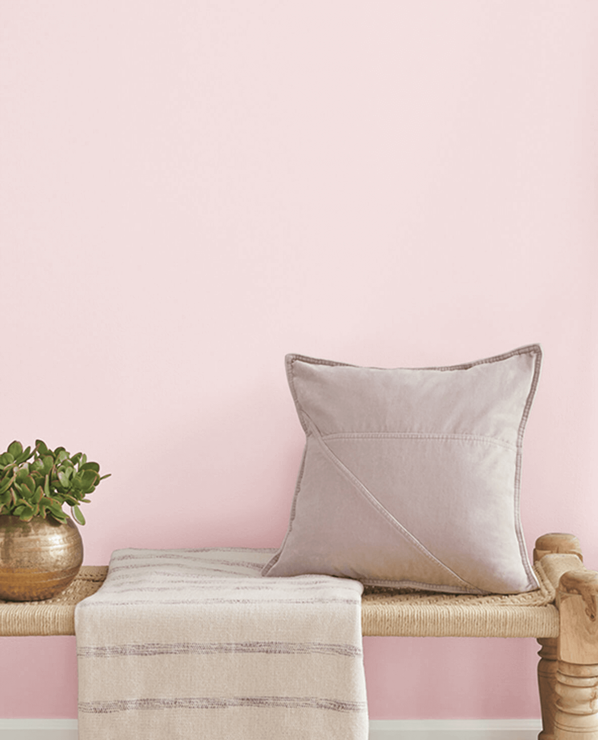 Diminutive Pink SW 6588 | Archived Paint Colors | Sherwin-Williams