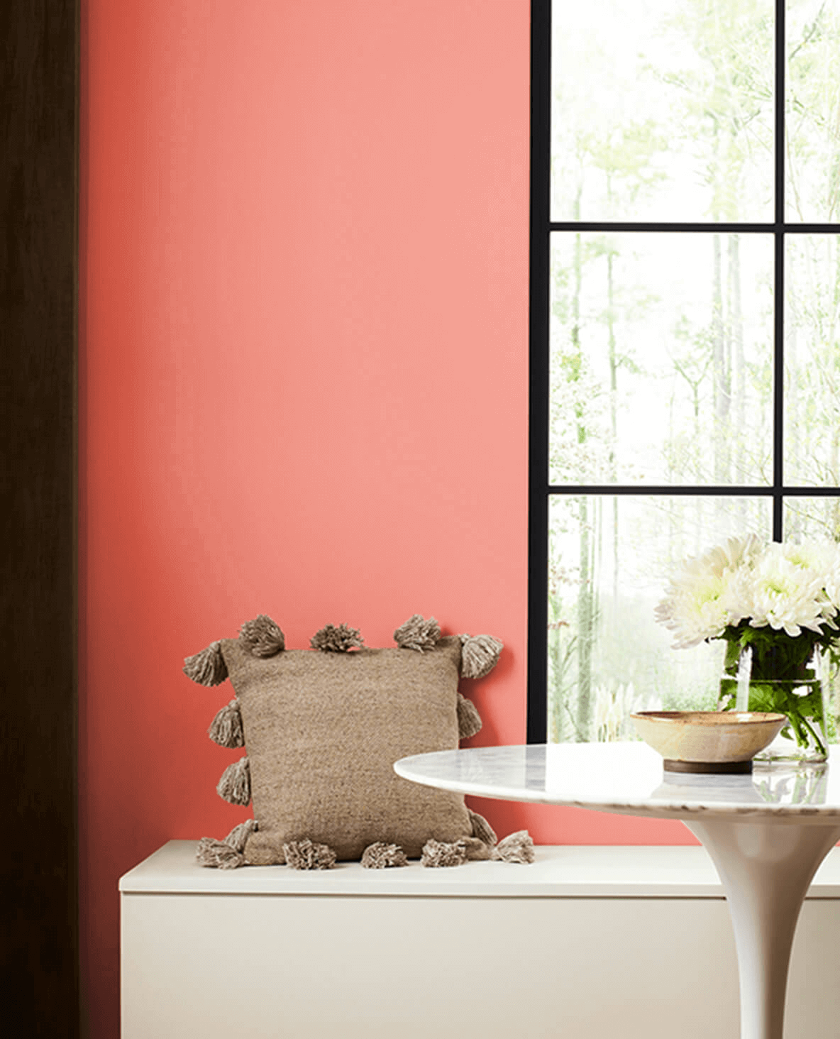 Animated Coral SW 6878 | Archived Paint Colors | Sherwin-Williams