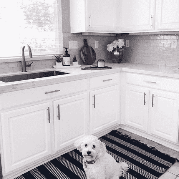 A kitchen with a cute white dog sitting on a rug. Gray tile backsplash and cabinets painted in pure white sw 7005 by @theblonderoastblog.