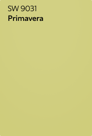 A color chip of SW 9031 Primavera.