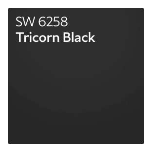 A Sherwin-Williams Color Chip for Tricorn Black SW 6258.