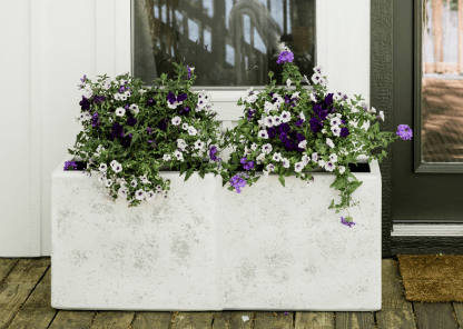 A stained concrete planter with purple and white flowers