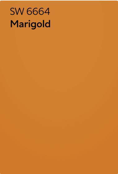 A Sherwin-Williams Color Chip for Marigold SW 6664.