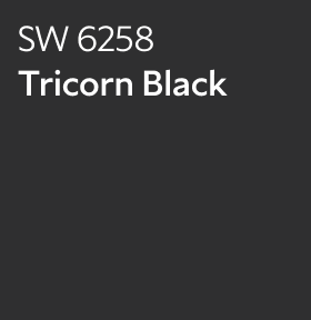 Sherwin-Williams Color Chip for Tricorn Black SW 6258.