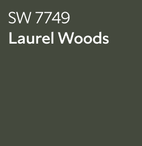 Sherwin-Williams Color Chip for Laurel Woods SW 7749.