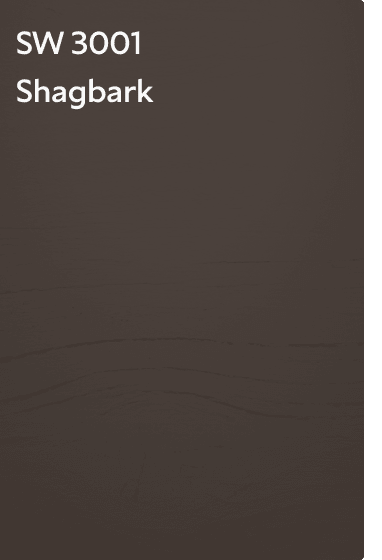 A color chip for SW 3001 Shagbark.