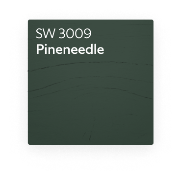 A color chip for SW 3009 Pineneedle.