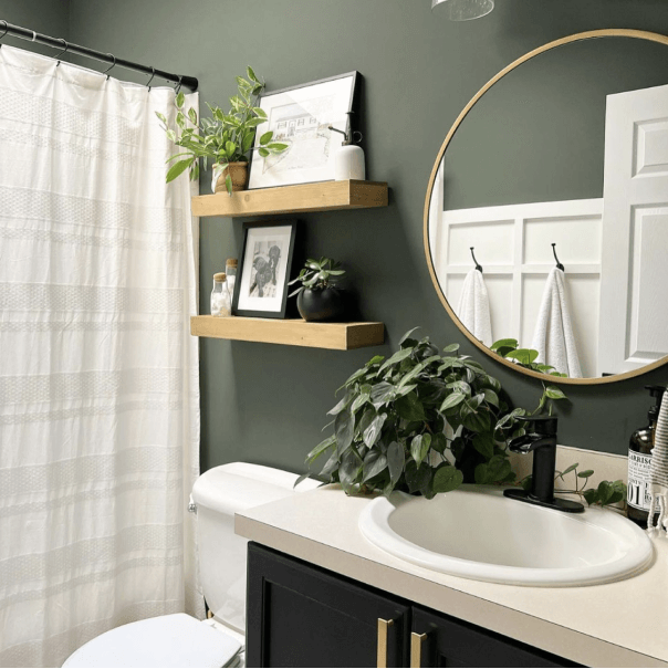 A bathroom with green walls and white shower curtains with 2 small wooden shelves holding pictures and plants next to a sink with a plant on it under a circular mirror.