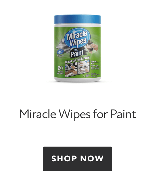Miracle Wipes for Paint. Shop Now.