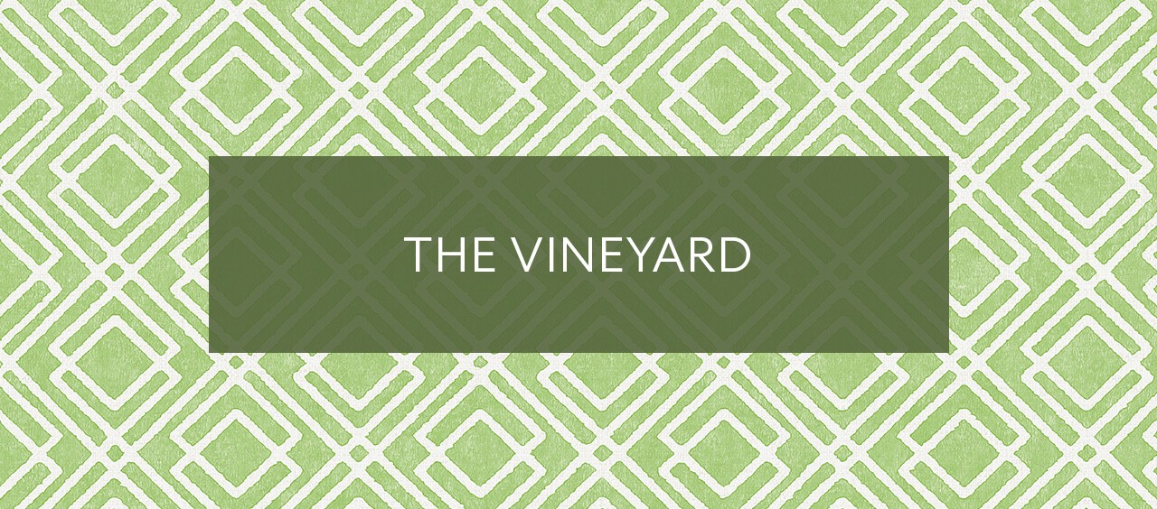 The vineyard.
