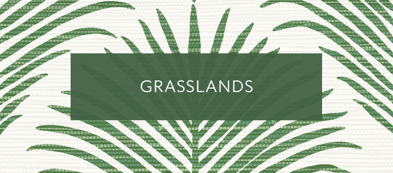 Wallquest Wallpaper Grasslands Collection.