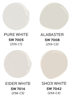 Classic Whites color palette colors. Pure White SW 7005 (255-C1), Alabaster SW 7008 (255-C2), Elder White SW 7014 (256-C5) and Shoji White SW 7042.