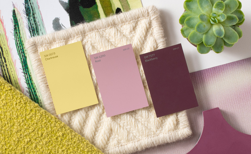 Three Sherwin-Williams color chips, featuring Chartreuse, Rose, and Blackberry.