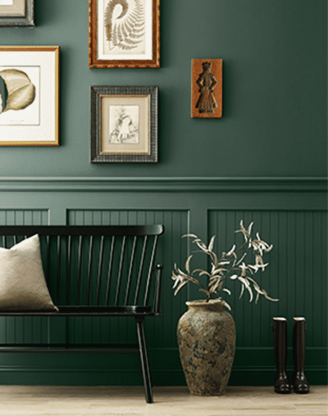Dark green walls with gallery wall, black bench, and potted plant.