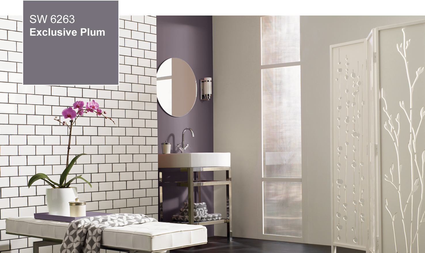 2014 Color Of The Year - Exclusive Plum (SW 6263) by Sherwin-