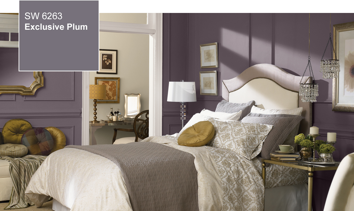 2014 Color Of The Year - Exclusive Plum (SW 6263) by Sherwin-